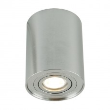 Потолочный светильник Arte Lamp A5644PL-1SI