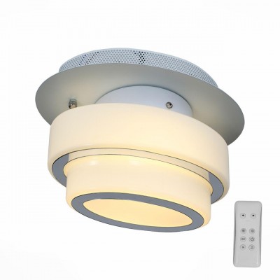 Потолочный светодиодный светильник ST Luce Ovale SL546.501.01