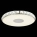 Потолочный светодиодный светильник ST Luce Impato SL821.102.01
