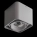 Потолочный светодиодный светильник Lightstar Monocco 052119R