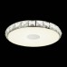 Потолочный светодиодный светильник ST Luce Impato SL821.122.01