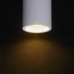 Настенный светильник Maytoni Parma C191-WL-02-W