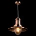 Подвесной светильник Arte Lamp Fisherman A5530SP-1RB