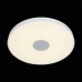 Потолочный светодиодный светильник ST Luce Semplicita SL473.552.01D