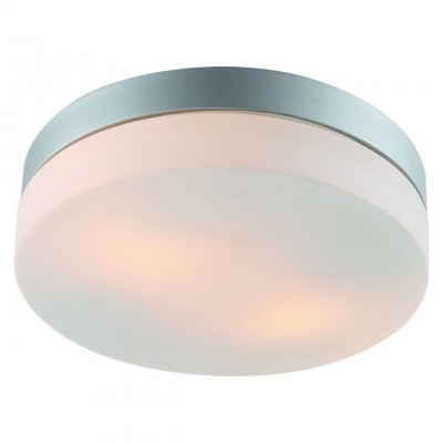 Потолочный светильник Arte Lamp Shirp A3211PL-2SI